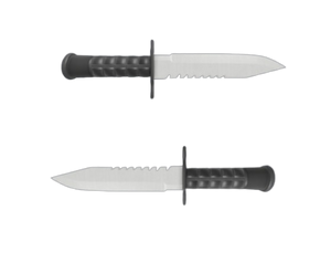 Dual Bayonets